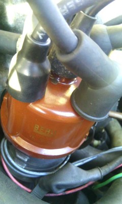 K800_Zündverteiler.JPG