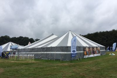 ICCCR NL DS Club.png