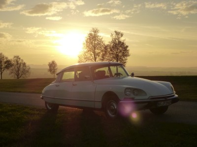 ds herbst 01 klein.jpg