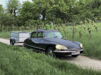 Citroën DS-21 (3).jpeg