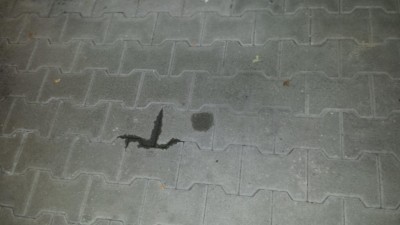 LHMfleck Februar 2020.jpg