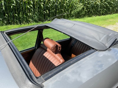 Citroen DS - Schiebedach.jpeg