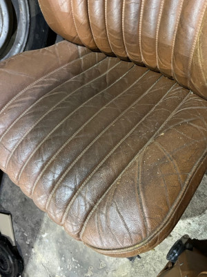 Groß (IMG_2869).jpeg