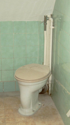 M4110018b.jpg