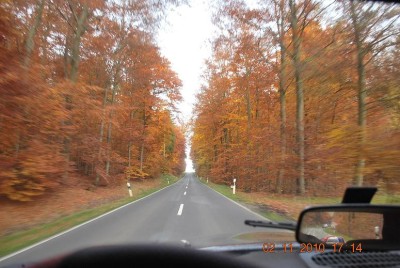 Herbst_0723.JPG